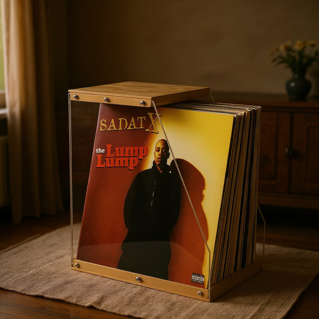 Ways to Decorate with Vinyl Record Storage