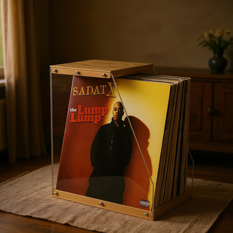 Ways to Decorate with Vinyl Record Storage